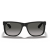 Ray-Ban RB4165 Unisex Sunglasses