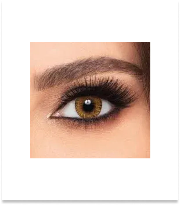 Freshlook One Day PURE HAZEL - Pack of 10pcs - Free Delivery 4hrs - 48hrs