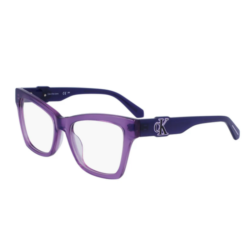 Calvin Klein Frame CKJ23646 500